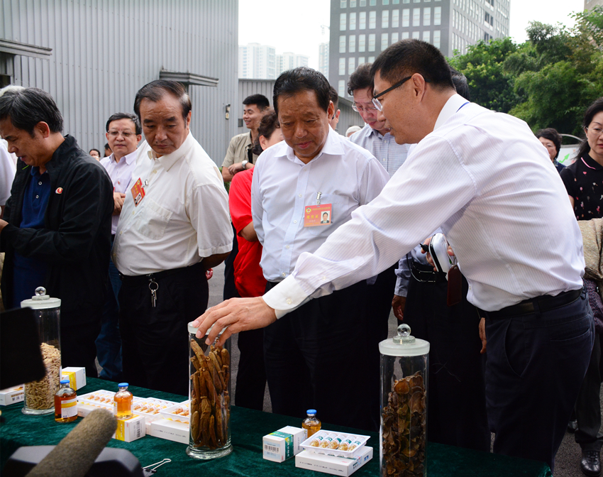 �±�GG�������漣ƽ̨