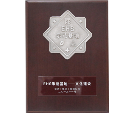 ������EHS�Ļ�������ģ����