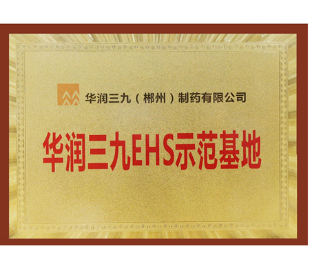 �±�gg�����漣EHS��ģ����