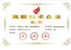 2020�����������ҵ