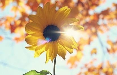 �±�GG�������漣ƽ̨