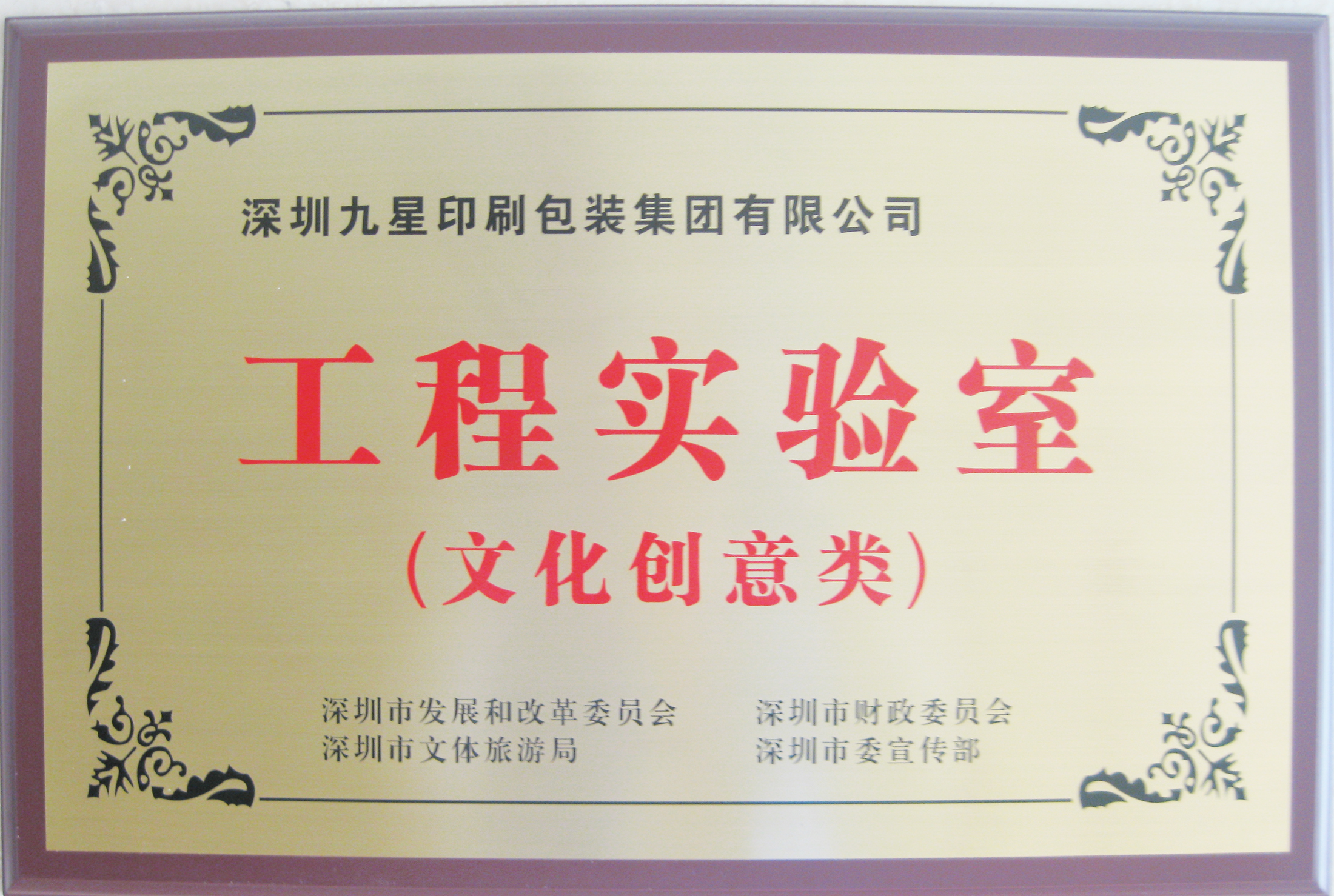 ����ʵ����